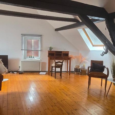 Loft Gaia Apartman Brunstatt-Didenheim Kültér fotó